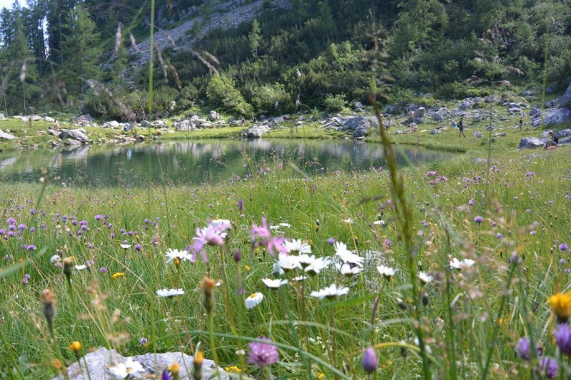 Baden im Brunnsteinersee