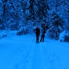 Skitour Roßschopf