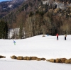 Langlaufausflug Biatlonzentrum Rosenau