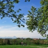Radtour Scharnstein Kremsmünster und retour