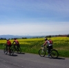Radtour Scharnstein Kremsmünster und retour