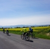 Radtour Scharnstein Kremsmünster und retour