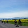 Radtour Scharnstein Kremsmünster und retour