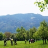 Radtour Scharnstein Kremsmünster und retour