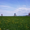 Radtour Scharnstein Kremsmünster und retour