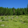Radtour Postalmrunde