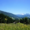 Radtour Postalmrunde