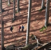 Bergtour Ebenforstalm