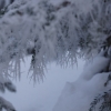 Mehrtagesskitour Wiesberghaus