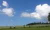 NF Radfahrt Schlögener Schlinge