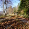 NF Bergtour Hauergraben kl.Schönberg