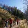 NF Bergtour Hauergraben kl.Schönberg