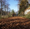 NF Bergtour Hauergraben kl.Schönberg