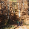 NF Bergtour Hauergraben kl.Schönberg