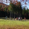 NF Bergtour Hauergraben kl.Schönberg