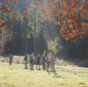 NF Bergtour Hauergraben kl.Schönberg