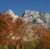 NF Bergtour Hauergraben kl.Schönberg