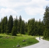 NF Radfahrt Viebergalm