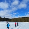 Langlaufausflug Postalm