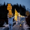 Glöcklerlauf