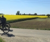 NF Radfahrt 1.Mai 2025