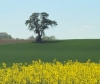 NF Radfahrt 1.Mai 2025