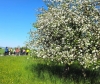 Radausfahrt 1.Mai