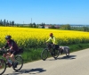 Radausfahrt 1.Mai