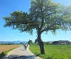 Radausfahrt 1.Mai