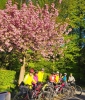 Radausfahrt 1.Mai