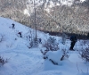 Skitour Weißhorn 