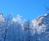 Skitour Weißhorn 