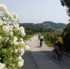 Trekkingbiketour Rosarium