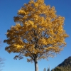 Bergtour zum Nationalfeiertag 