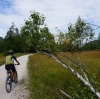 Radfahrt Eisenau Attersee