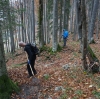 NF Herbstwanderung zum Nationalfeiertag