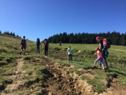 Ebenforsteralm