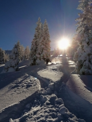 Skitour 29.01.2023
